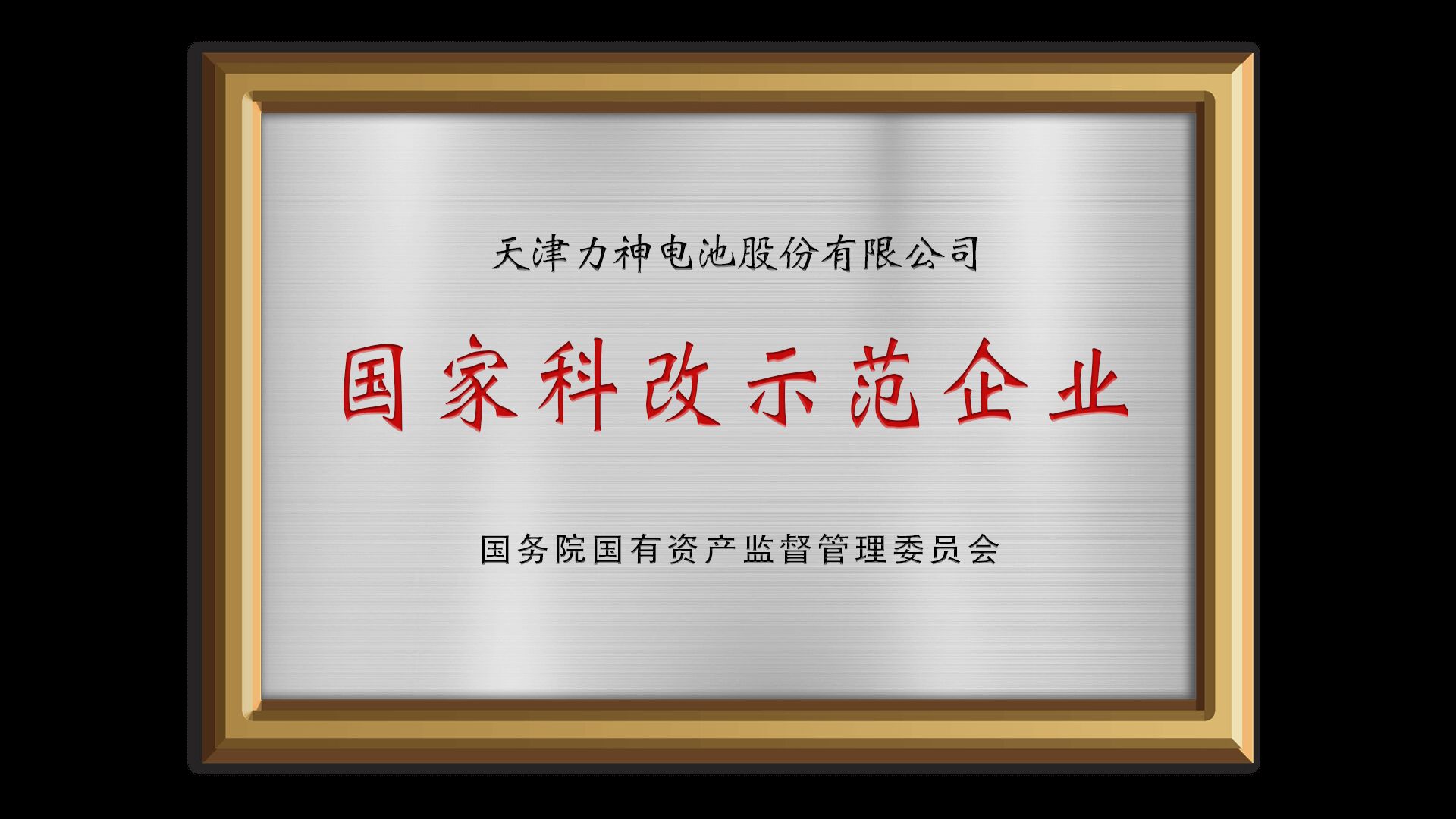 National Technological Innovation Enterprise