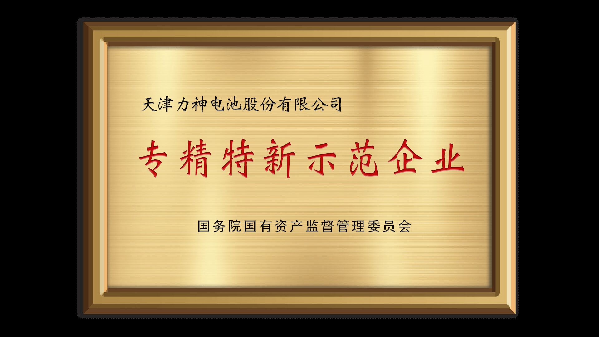 Specialized and Sophisticated Demonstration Enterprise