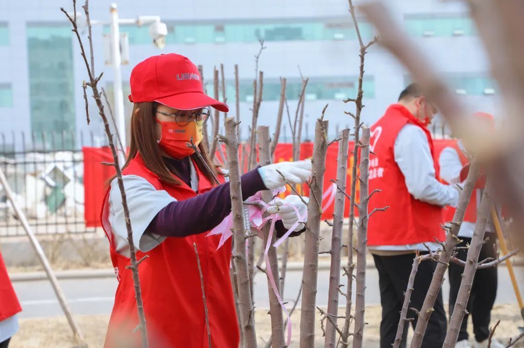 Deeply rooted in green energy, develop energy with lithium